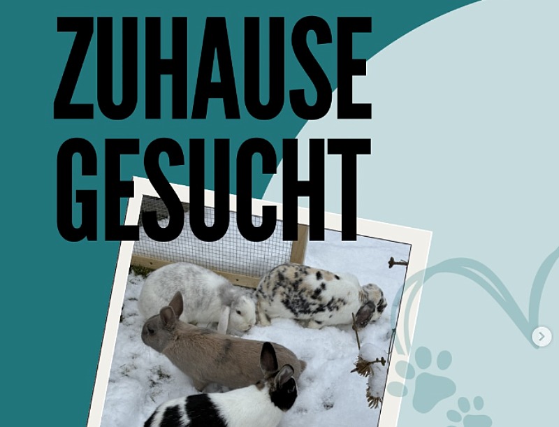 Unbenannt (52)