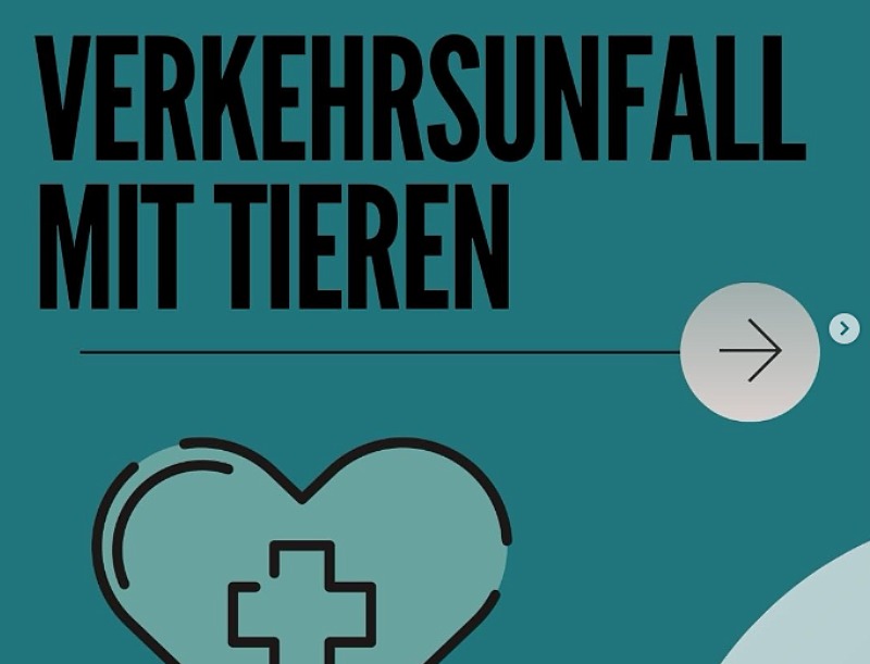 Unbenannt (54)