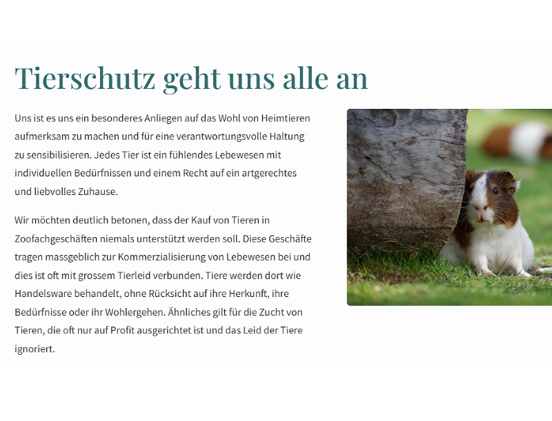 Unbenannt (57)