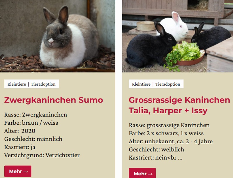 Unbenannt (63)