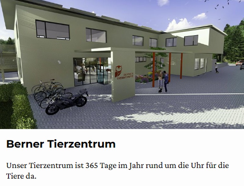 Unbenannt (64)