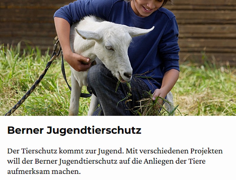 Unbenannt (65)