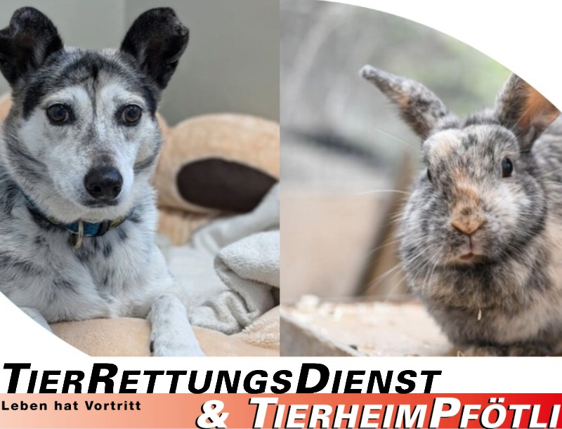 Unbenannt (79)